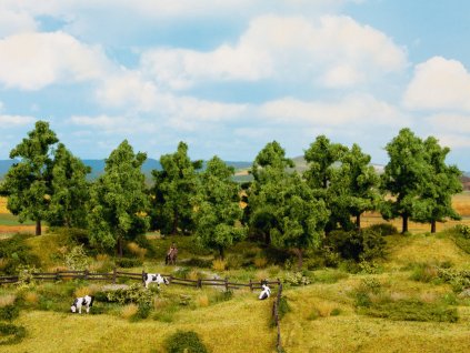 Set listnatých stromů, 6 ks, 14-18 cm  / NOCH 24602