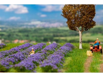 =CONCATENATE(G1794," ",L1794)