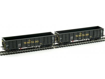 H0 - set 2 ks  otevřených vozů Eas, černý "TENUTADO" SK-TNTD / Albert Modell 500005