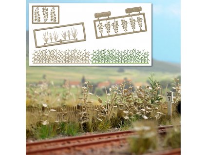 483198 h0 kvety pozdni louka busch 1260