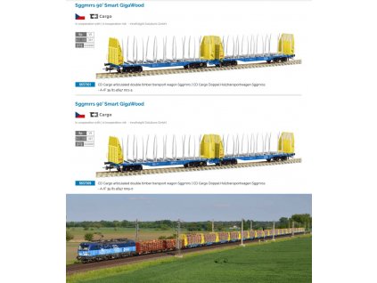 H0 - dvojitý klanicový vůz Sggmrrs na převoz dřeva ČD Cargo, ep. VI / SUDEXPRESS S657009