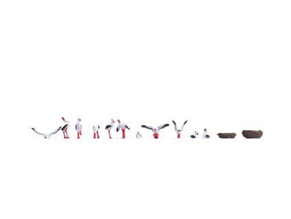 492312 h0 capi noch 15776