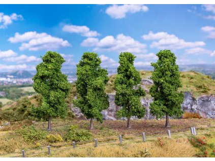 492729 h0 4 cyprisove duby faller 181577