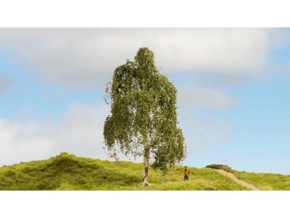 496036 rs 22629 20125