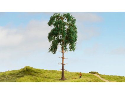 496048 1 rs 22667 20141