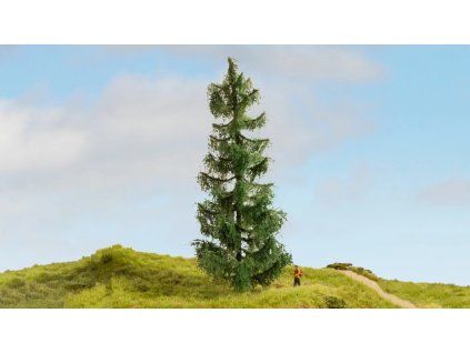 496057 rs 22634 20190