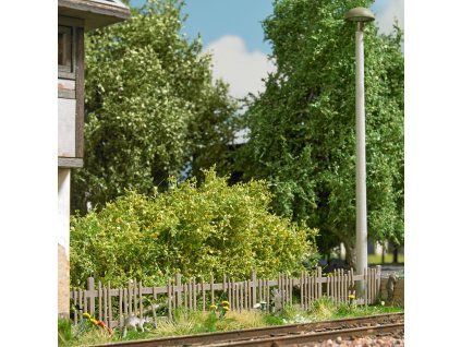 507989 h0 stary plot busch 1011