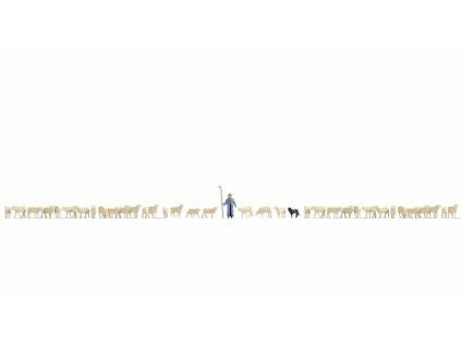 509157 rs 22121 16164