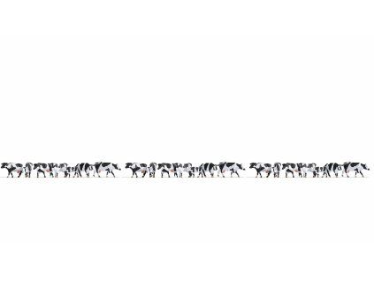 509160 rs 22122 16162