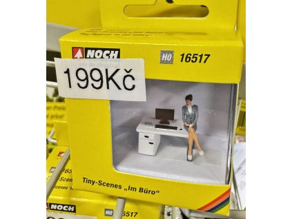 512525 1 h0 v kancelari tiny scene noch 16517