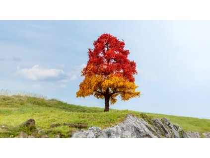 H0/TT/N – Dub, podzimní / NOCH 20114