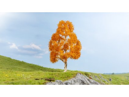 1, 0, H0 – Bříza, podzimní / NOCH 20129