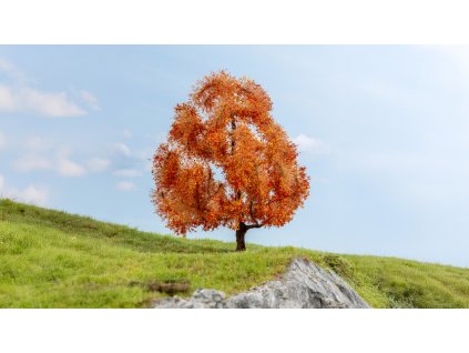 H0/TT/N – Javor, podzimní / NOCH 20155