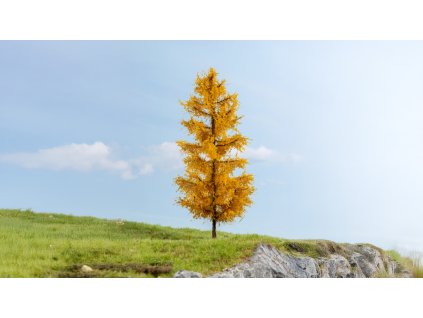 H0/TT/N – modřín, podzimní / NOCH 20167