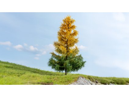 H0/TT/N – modřín, podzimní / NOCH 20168