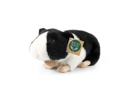 Rappa Plyšové morče 23 cm ECO-FRIENDLY / RAPPA 231221