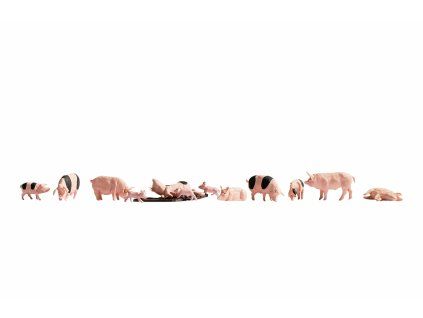 N - Prasata / NOCH 36712