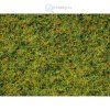 232948 2 staticka trava pastvina pro dobytek 2 5 6 mm 50g noch 07073