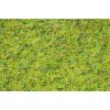 Statická tráva- pastvina BOX / NOCH 07077