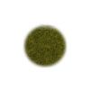 233005 staticka trava divoka louka 6 mm 50g noch 07100