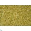 233011 staticka trava bezovy 6 mm 50g noch 07101