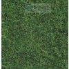 233017 divoka trava staticka svetle zelena 6 mm 50g noch 07102