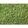 233128 posyp listi svetle zelena 100g noch 07152