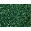 233131 posyp listi stredne zelene 100g noch 07154