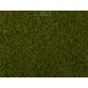 Foliáž - světle zelená / NOCH 07270