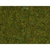 233443 staticka trava tmave zelena box 2 5 mm 120 g noch 08152