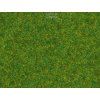 233473 staticka trava okrasny travnik 2 5 mm 20 g noch 08314