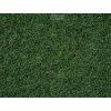 233476 2 staticka trava bazina 2 5 mm 20 g noch 08320