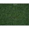 Statická tráva - Bažina, 2,5 mm, 20 g / NOCH 08320