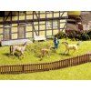 336802 h0 plot noch 13080