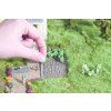 338782 4 h0 divoke vino 12 ks noch 14132