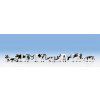 341902 h0 kravy cernobile noch 15721