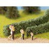 347752 5 zivy plot svetle zeleny 10 x 6 mm noch 21522