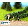 347755 4 zivy plot tmave zeleny 10 x 6 mm noch 21524