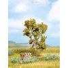 347809 2 strom jerabiny 11 5 cm noch 21650