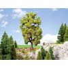 347866 2 h0 lipa 18 5 cm extra velky strom profi noch 21781