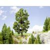 347875 2 h0 kastan 18 5 cm extra velky strom profi noch 21802