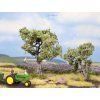 347989 2 olivovniky 2 ks 6 9 cm noch 21995