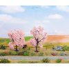 347992 2 mandlovniky 2ks 8 9 cm noch 21996