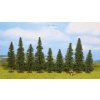 Jedle, 9 ks, 8-12 cm / NOCH 25086