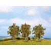 349441 2 ho tt jablone 3ks 8 cm noch 25113