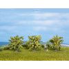 349447 2 h0 tt citronovniky 3 ks 4 cm noch 25115