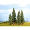 Stromy Jedle - 4 ks, 4-8 cm / NOCH 25432