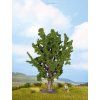 349504 2 strom dub 15 cm noch 25860