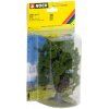 349504 3 strom dub 15 cm noch 25860