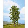 349507 2 lipa 18 5 cm noch 25880